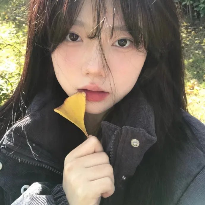 异端指南